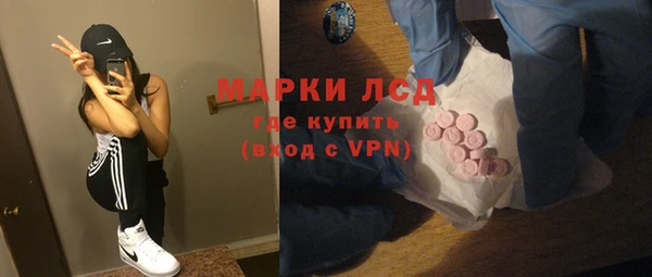 прущий лед Вяземский