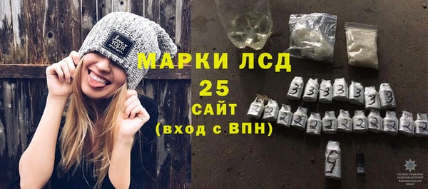 прущий лед Вяземский