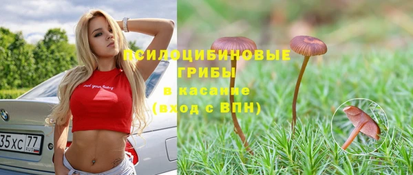 прущий лед Вяземский