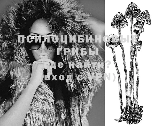 прущий лед Вяземский