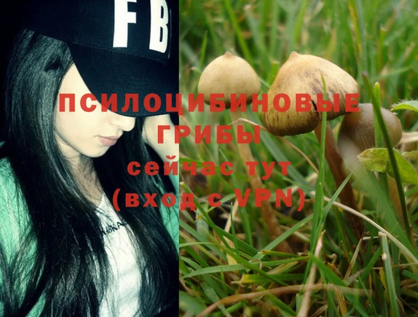 экстази Вязники