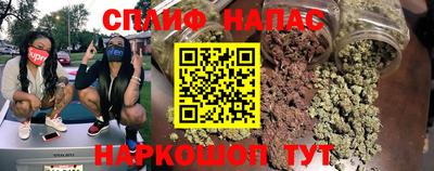 гидра Малгобек