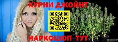 гидра Малгобек